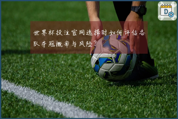 世界杯投注官网选择时如何评估各队夺冠概率与风险？