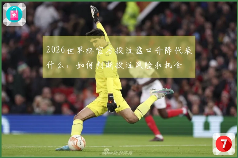 2026世界杯官方投注盘口升降代表什么,如何判断投注风险和机会