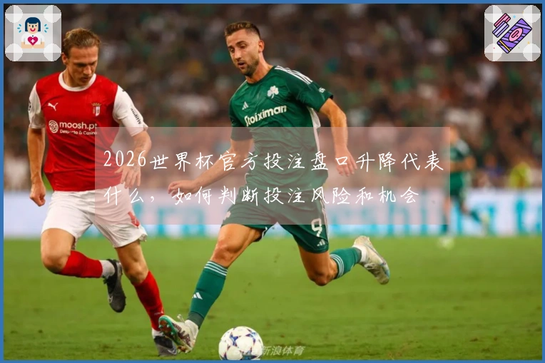 2026世界杯官方投注盘口升降代表什么，如何判断投注风险和机会